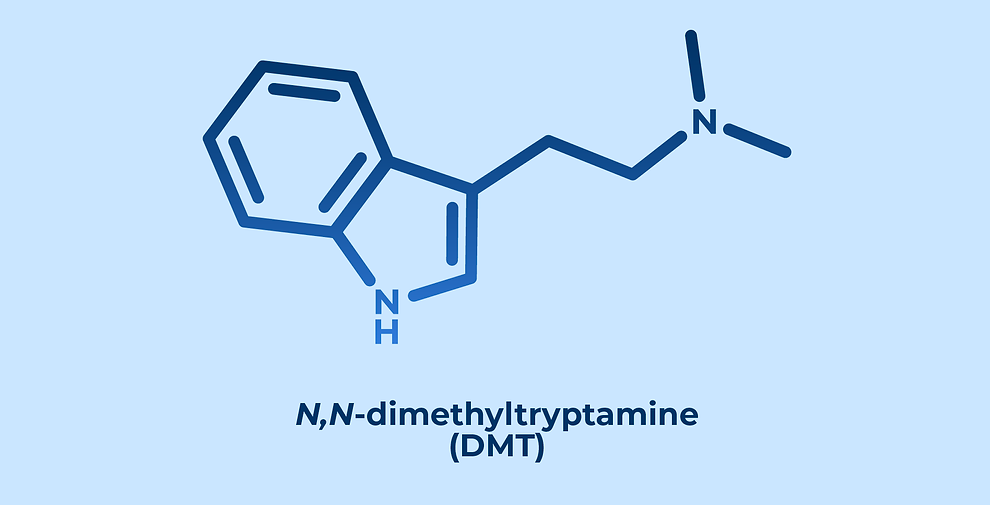 Where Can I Get DMT? A Deep Dive into DMT’s Origins and Safety