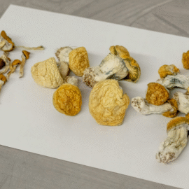 How to Take Magic Mushrooms