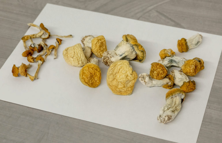 How to Take Magic Mushrooms